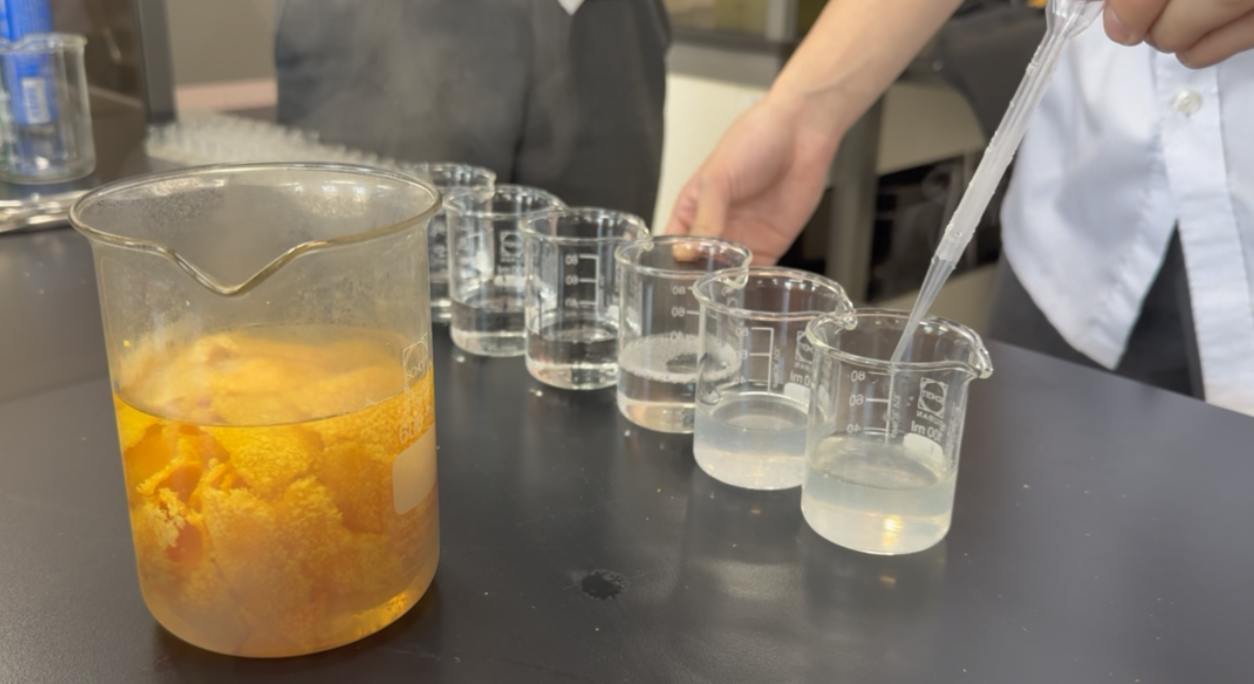 Tangerine as a Natural pH Indicator : Eco-Friendly 1